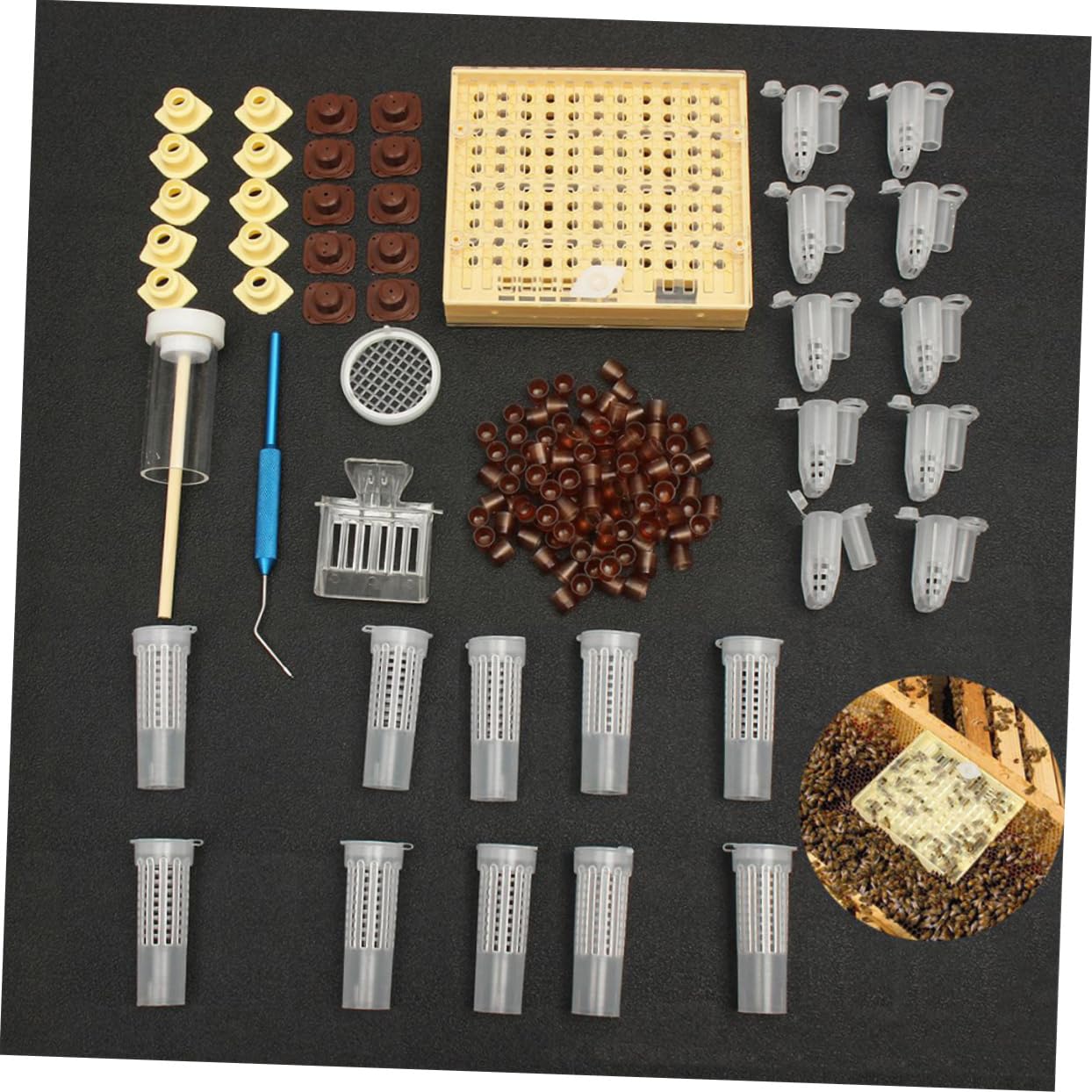 Kit de Cría de Reinas para Apicultura Caja Protectora Abs | Sistema de Cultivo, Uso Sencillo y Práctico, Ligero, para Manejo de Colmenas en Temporada de Reproducción Color Aleatorio