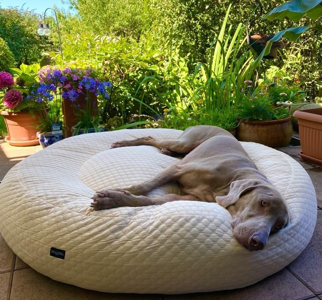 Lit orthopédique rond pour chien avec surface rafraîchissante EDEL&SCHNELL protégeant les articulations
