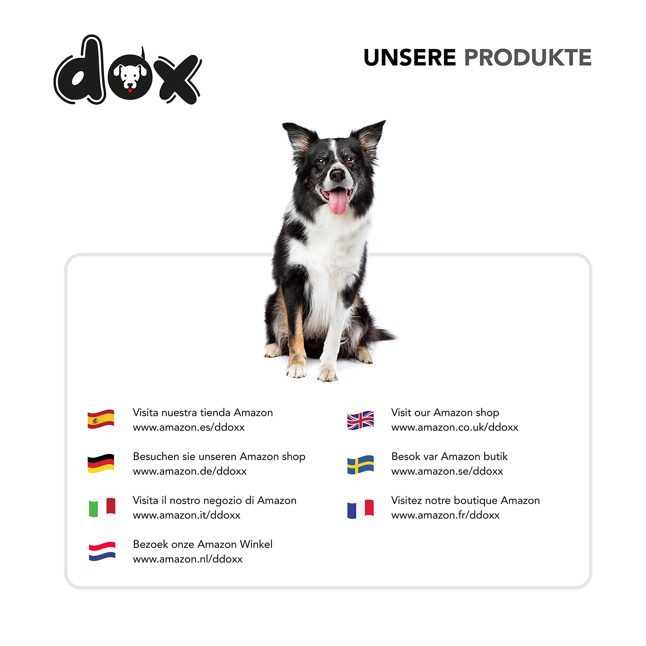 DDOXX Laisse Chien Nylon Réfléchissante, Réglable en 3 Position, 2 m | Nombreuses Couleurs & Tailles | pour Petit, Moyen Gros & Grand | Double laisses Ajustable Chat Chiot | M, Noir, 2m