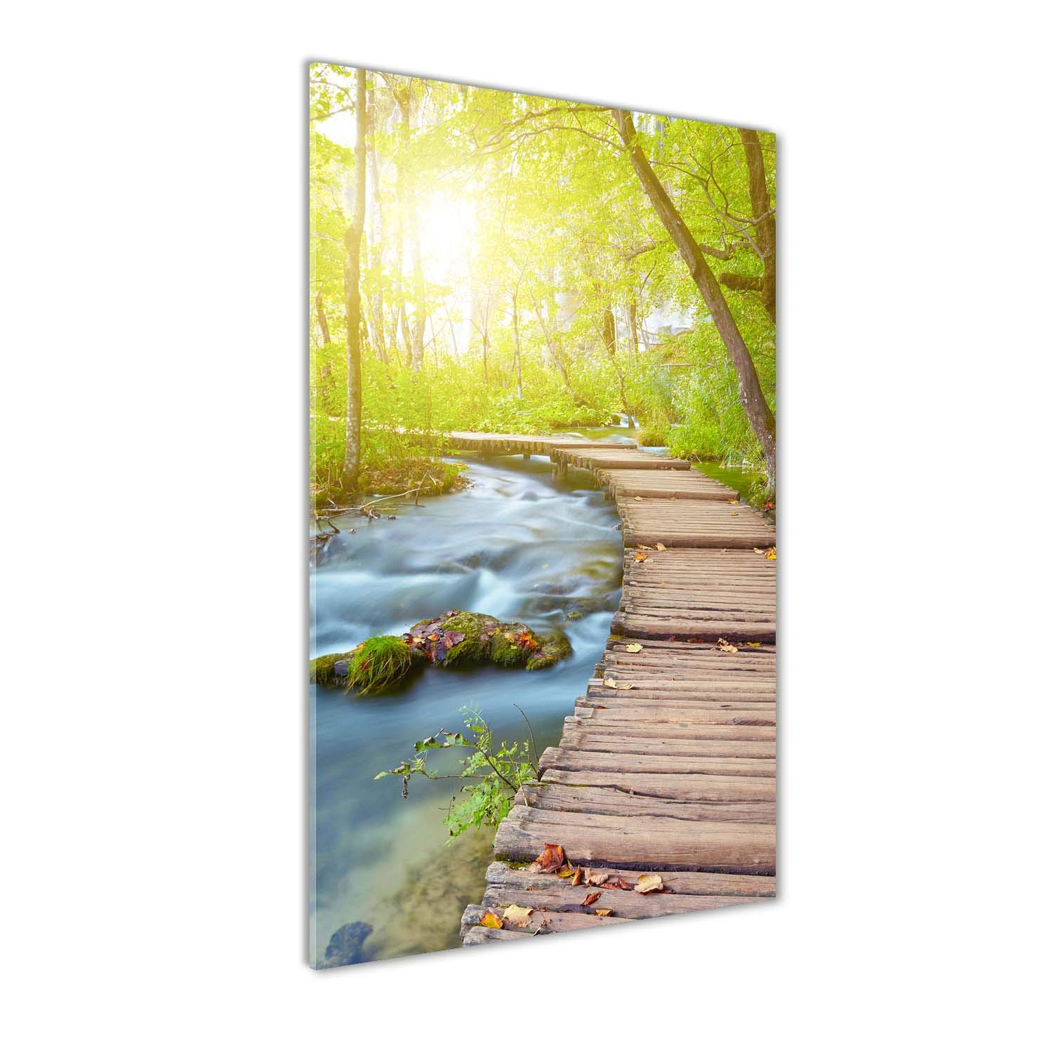 Tableaux pour la mur en verre acrylique Tulup 50x100 cm avec paysage d'une forêt verte