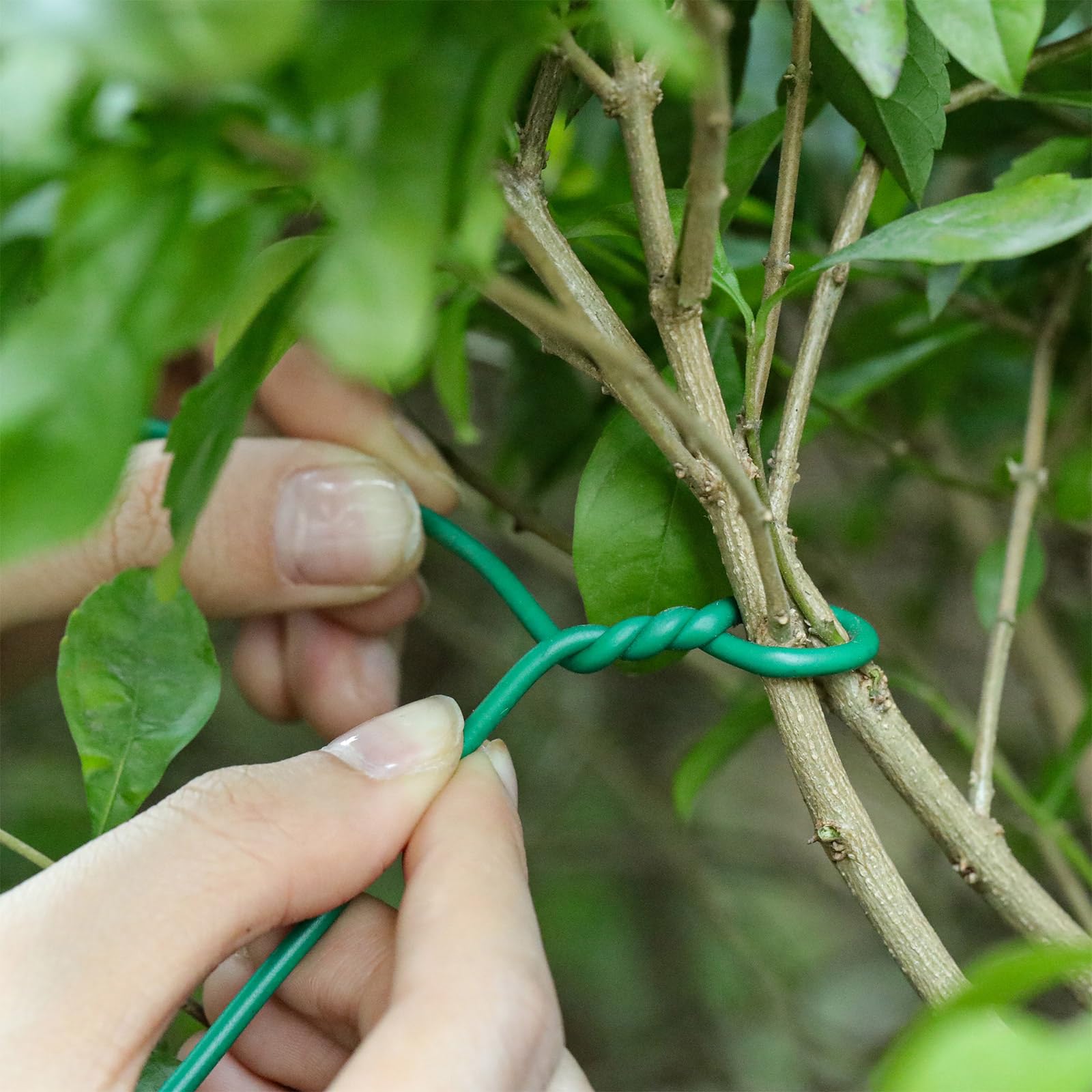 Zhengmy Lazo suave de 500 pies para plantas con cortador de alambre, lazos de jardín de giro verde, suministros de jardinería, 2,5 mm de diámetro para apoyar plantas trepadoras, organización de