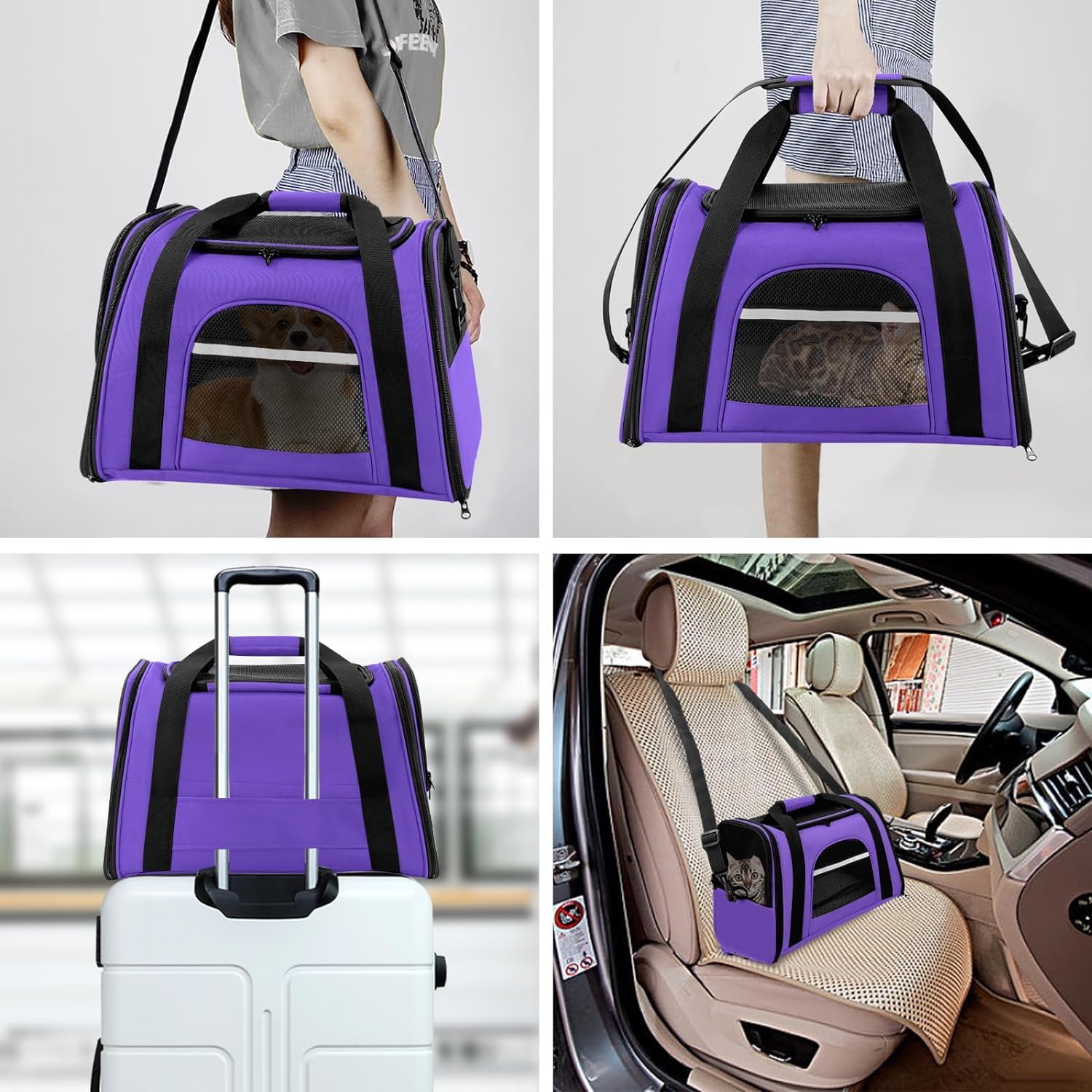 Trasportino per Cani e Gatti Borsa per Animali Portatile Pieghevole Borsa per Gatti Traspirante con Ciotola per Acqua Portatile (Viola)