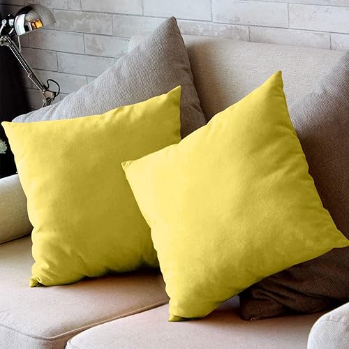 Miniatura 4 de JUEYINGBAILI Fundas de almohada decorativas de terciopelo, paquete de 2 fundas de almohada ultrasuaves de 18 x 18 pulgadas para sofá, silla,