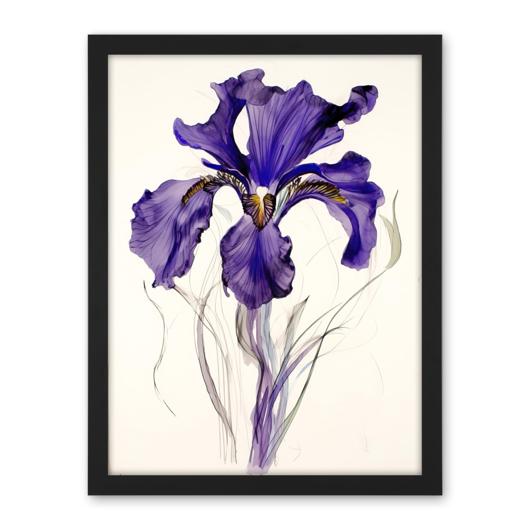 Artery8 Iris Reticulata Watercolour Flower Bloom Drawing Artwork Framed Wall Art Print 18X24 Inch