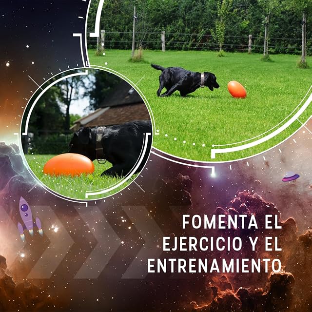 Foto 3 de 6 de Dog Comets Pelotas De Juguete Para Perros Cometas De Perros Pan-Stars Orange L 30 cm