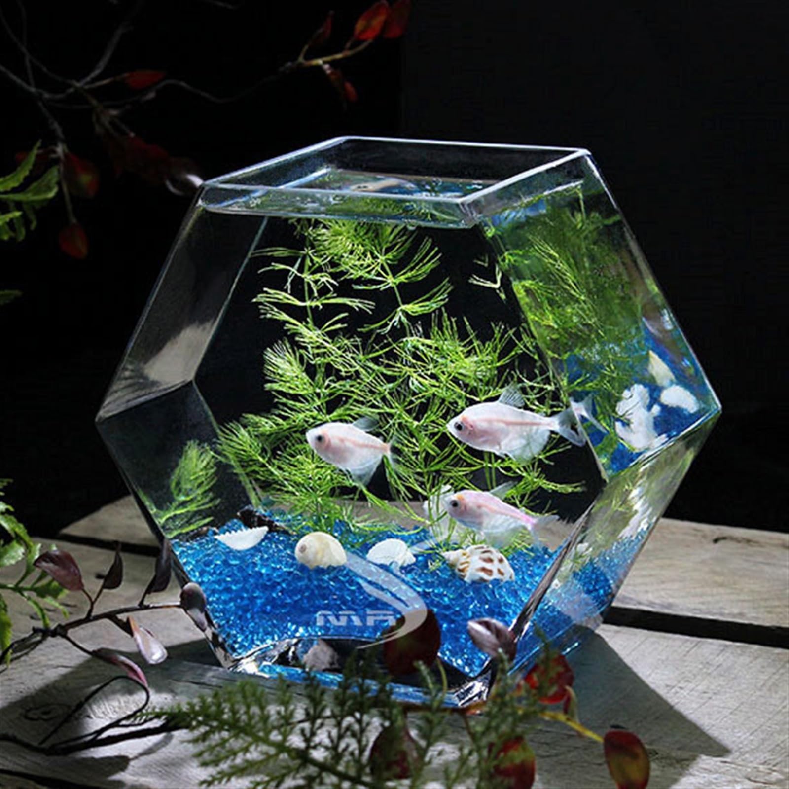 Aquarium Aquarium Hexagonal en Verre, Aquarium de Table Transparent, Poisson de Combat, réservoir de Grande Taille, ameublement écologique Bocal Poisson(Petit)