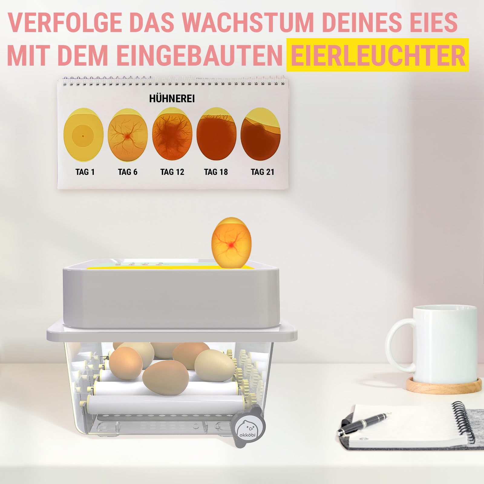 OBI-12 Brutautomat Vollautomatisch – Inkubator für 12 Eier mit Automatischem Eierwender - Brutkasten Hühner für Hühnereier, Wachtel und Enteneier - Gelb