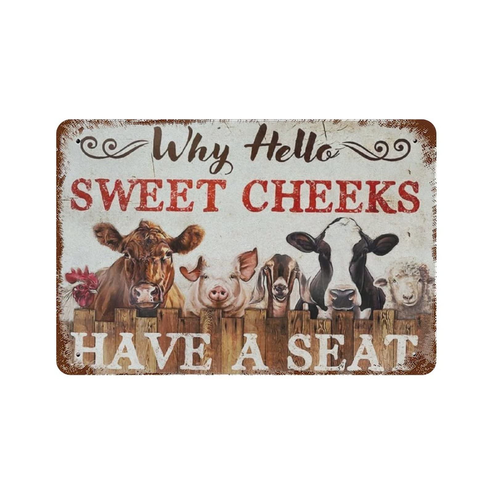 AOOEDM Why Hello Sweet Cheeks Vintage Metal Tin Sign for Home Coffee Shop Office Wall Art Metal Poster Garage Decor Man Cave Sign Inspirational Quote Wall Decor
