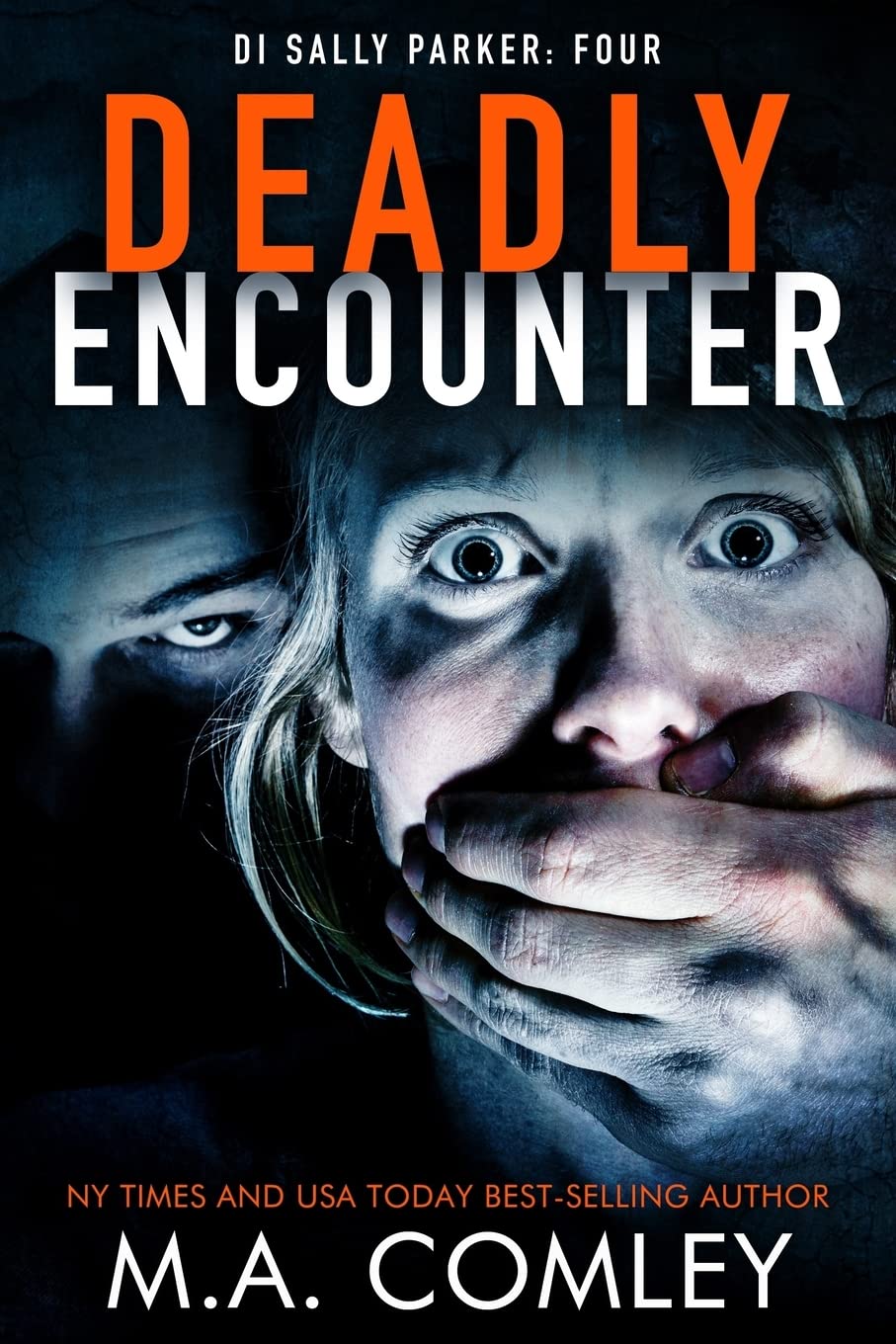 Deadly Encounter: Volume 4 (DI Sally Parker)