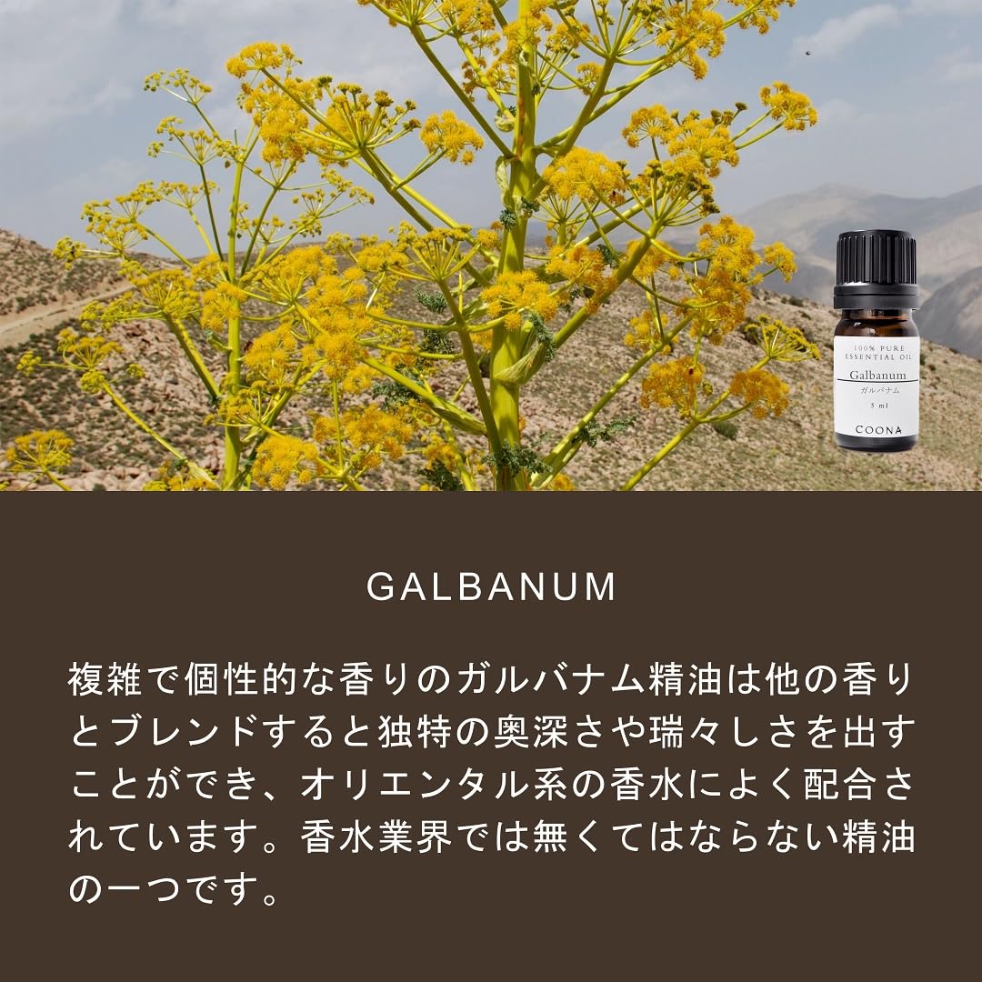 【日本未発売】ヤングリビングエッセンシャルオイル ガルバヌム 5ml Amazon.co.jp: ガルバナム 5 ml (COONA エッセンシャルオイル アロマ