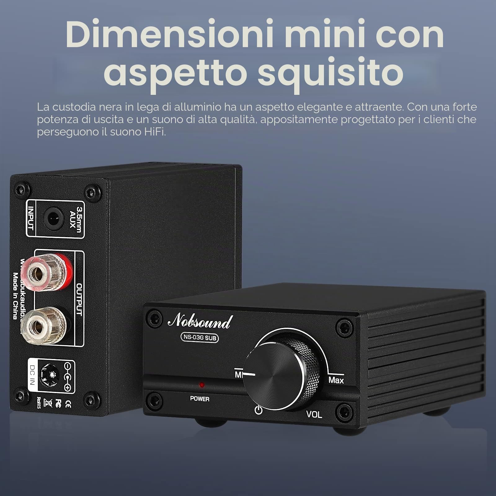Nobsound 100W Subwoofer Amplificatore Mono Amplificatore di Potenza Digitale Mini Amplificatore Audio (con alimentazione a 19V)