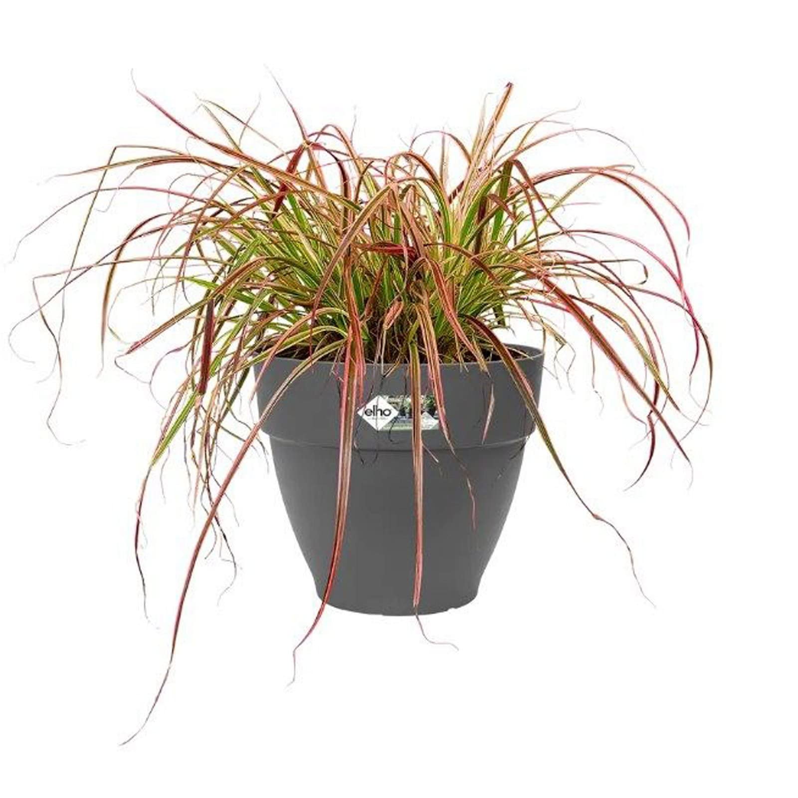 Elho Vibia Campana 55cm Pot de Fleurs - Anthracite | Ø 54.5 x H 47 cm | Convient à l’extérieur | Plastique 100 % recyclé