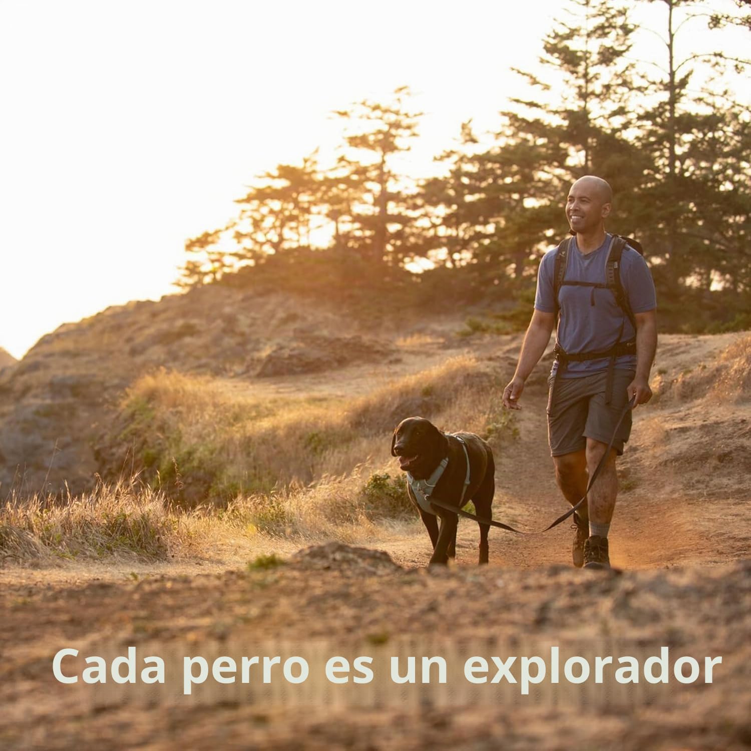 RUFFWEAR Front Range - Arnés para Perros pequeños, arnés Reflectante en Y, Ajustable, cómodo y Acolchado, arnés para pasear al Perro, sin tirones, 2 Accesorios de Correa y Anillo en V, Talla S, Gris