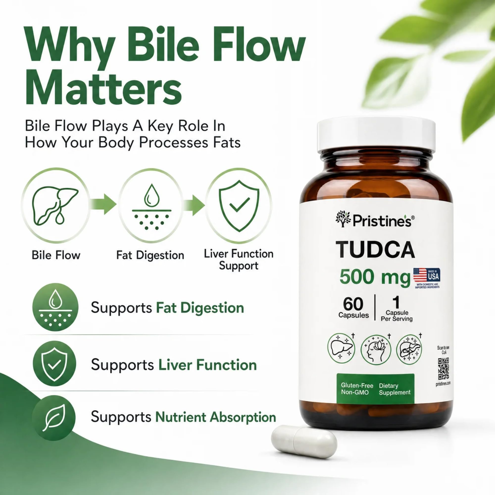 PRISTINE'S TUDCA Supplement 500mg Liver & Bile Flow Support Capsules 60 Ct — Amazon image 3