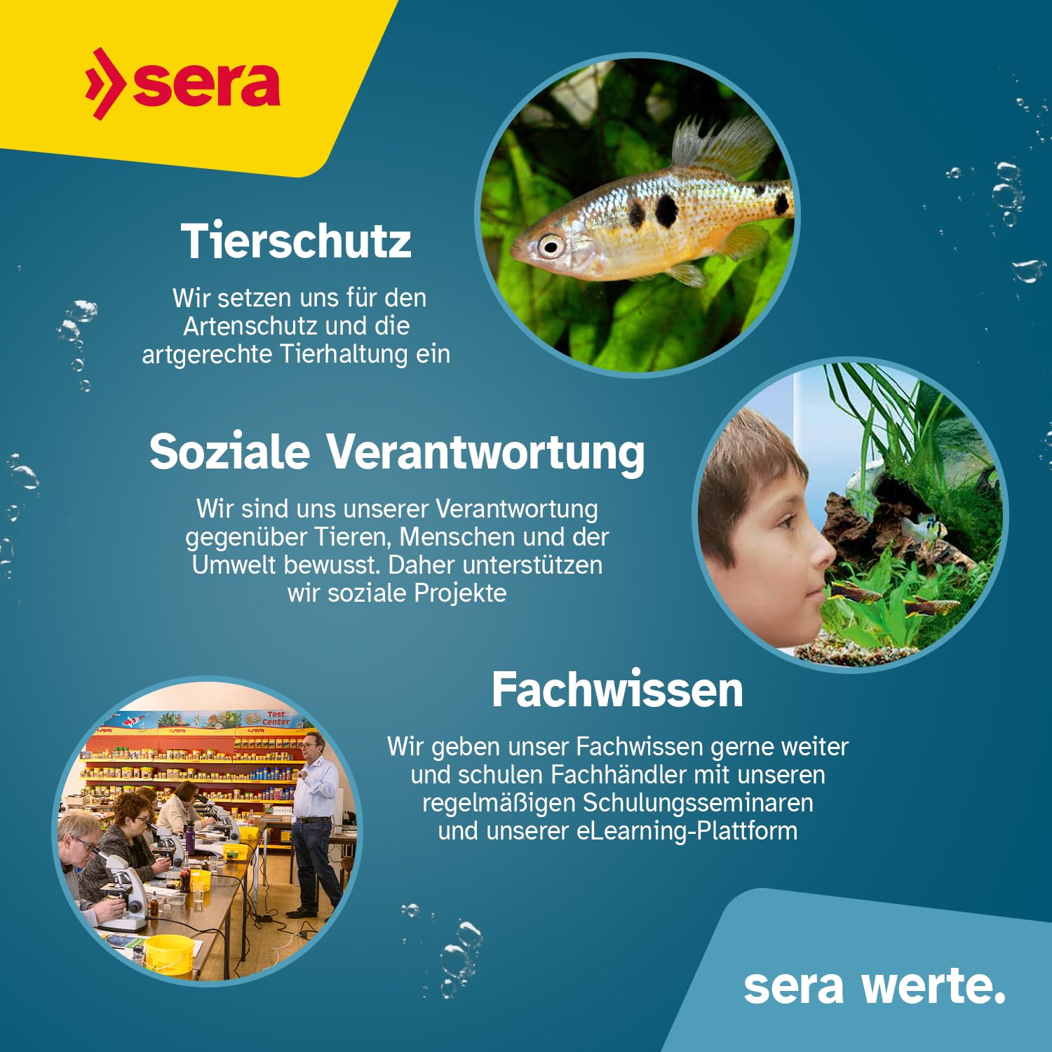 sera Koi Color Large 21 L (5,55 kg) | Hauptfutter für Koi ab 25 cm | Teichfutter frei von Farb- & Konservierungsstoffen | Leicht verdaulich | Fischfutter Teich | Koi Futter