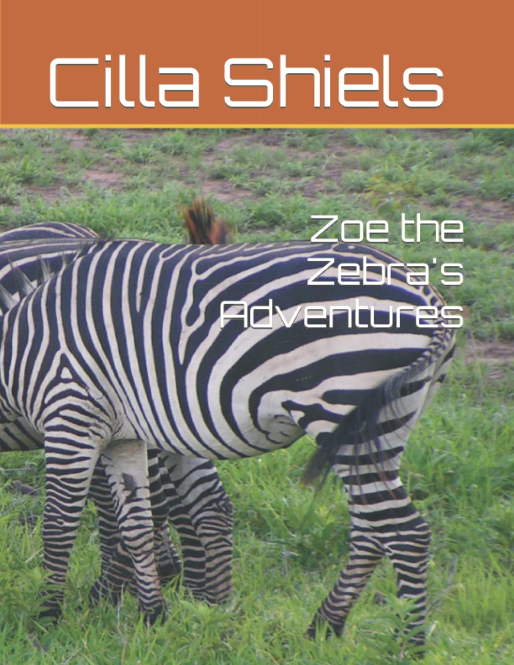 Zoe the Zebra's Adventures