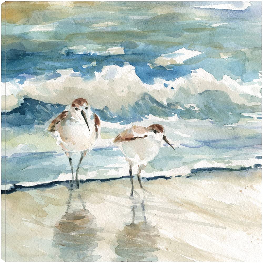 Fine Art Canvas Beach Birds Canvas Wall Decor by Artist Carol Robinson for Living Room Bedroom Bathroom Kitchen