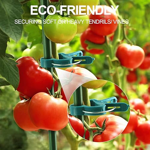 Miniatura 6 de 40 clips de soporte para plantas, flores y vid, clips de soporte para plantas de tomate de jardín para apoyar tallos, enredaderas crecen