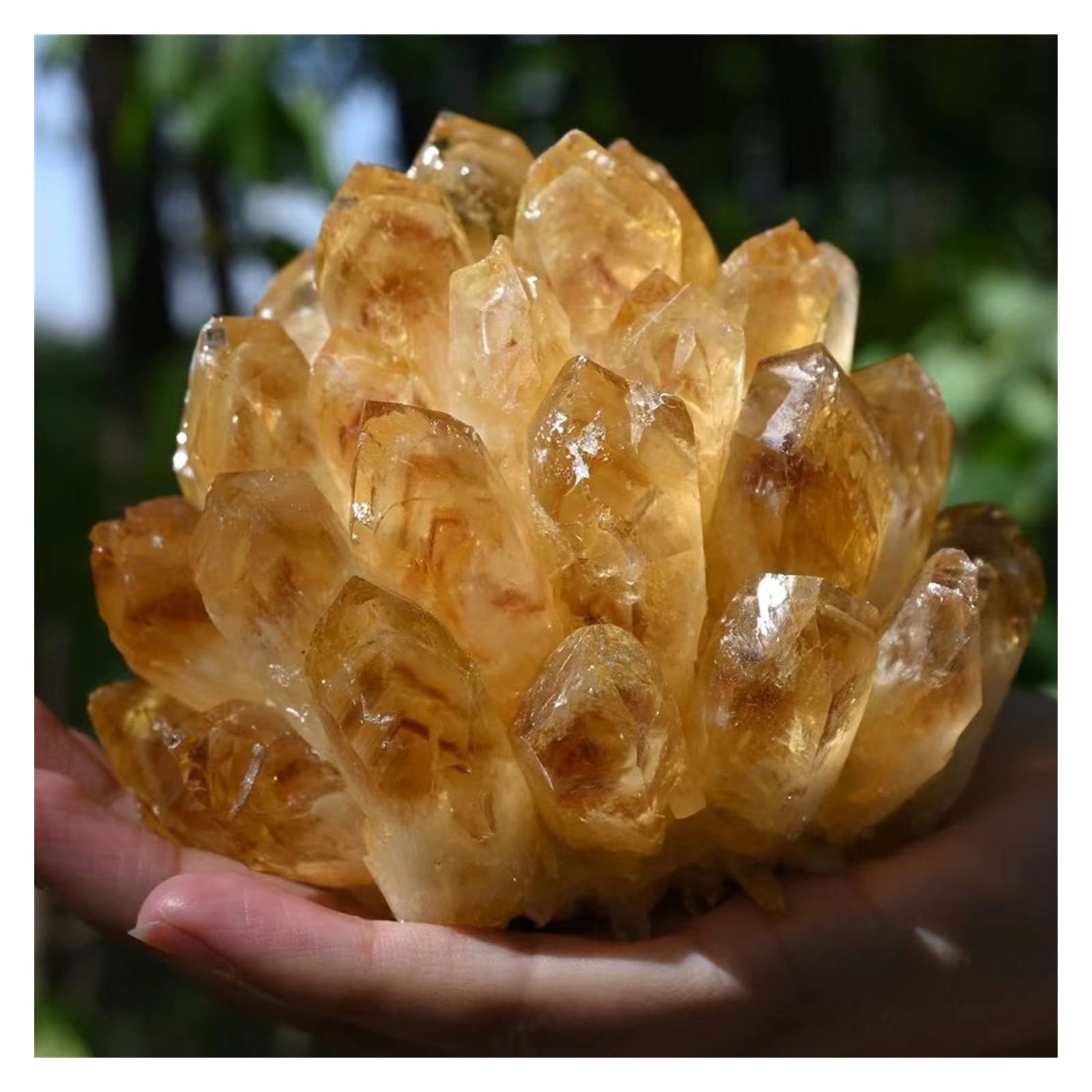 Citrine brute naturelle d'exception, grand cristal de collection pour décoration haut de gamme