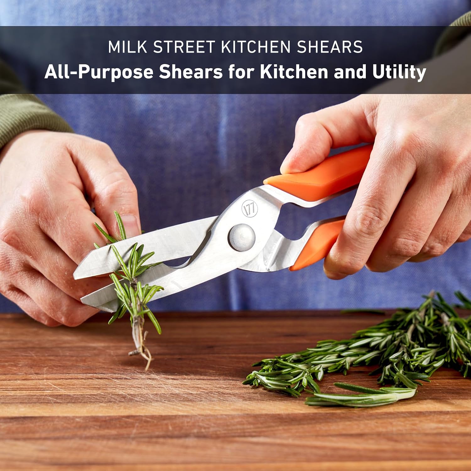 Milk Street Kitchen Shears, 3" German Steel Blade, Bone Notch, Spring-Loaded, Orange Handles, for Poultry, Fish, and More