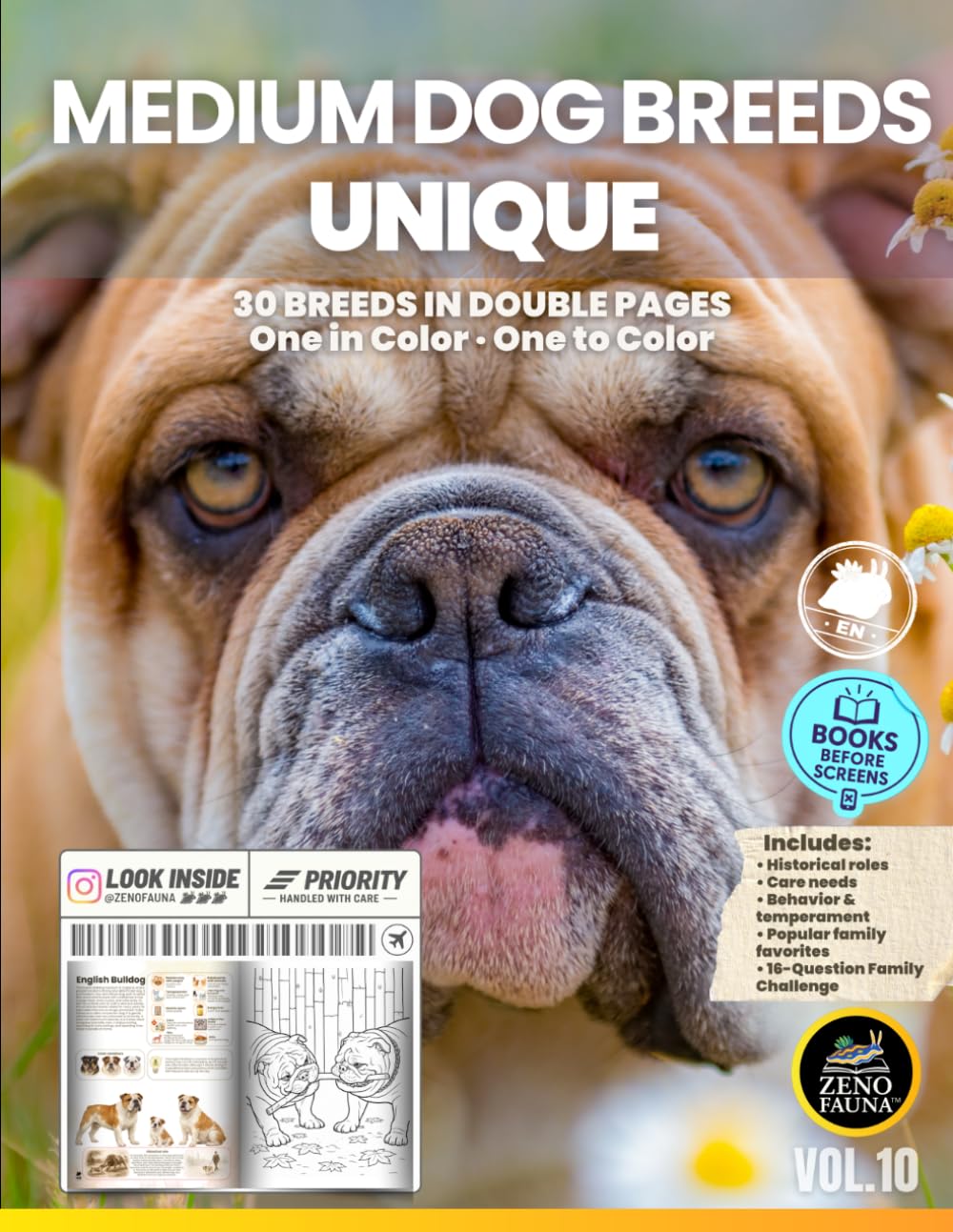 Dogs: Medium Dog Breeds – Unique: 30 Breeds in Double Pages | One in Color and One to Color (Unique Animals)