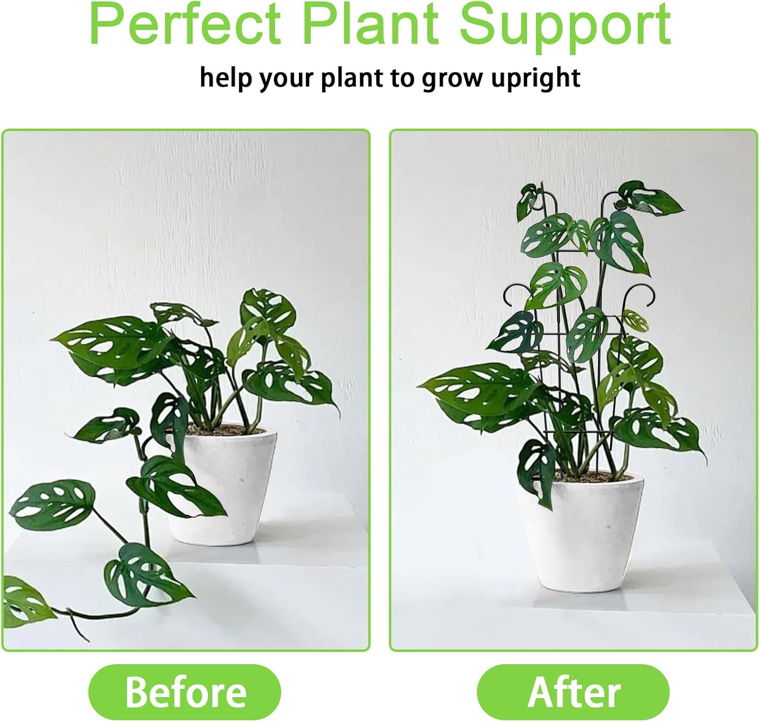 Plant Trellis for Potted Plants 2p, Larger 23in Garden Trellis for Climbing Plants Indoor Outdoor, Rustproof House Plant Support Stakes for Pothos Hoya Ivy Flower image 2