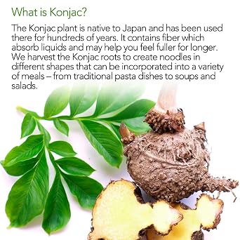 Shirataki Noodle, DIET COOKER Premium Konjac Noodle, Keto & Vegan Friendly, 9.52 oz, Odor Free, Low Calorie Pasta, Zero Net Carbs, Healthy Diet Food - Angel Hair (10 Packs)