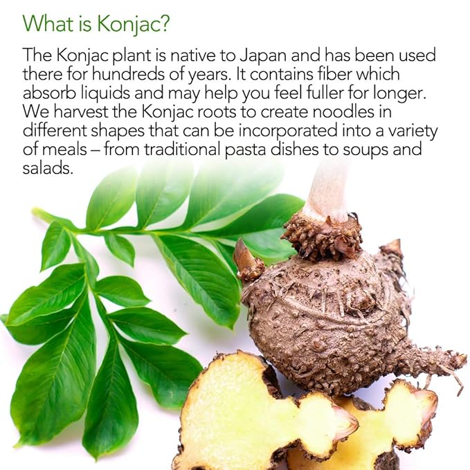 Fideos Shirataki Konjac Diet Cooker - 6 Paquetes (9.52 oz c/u) miniatura 7