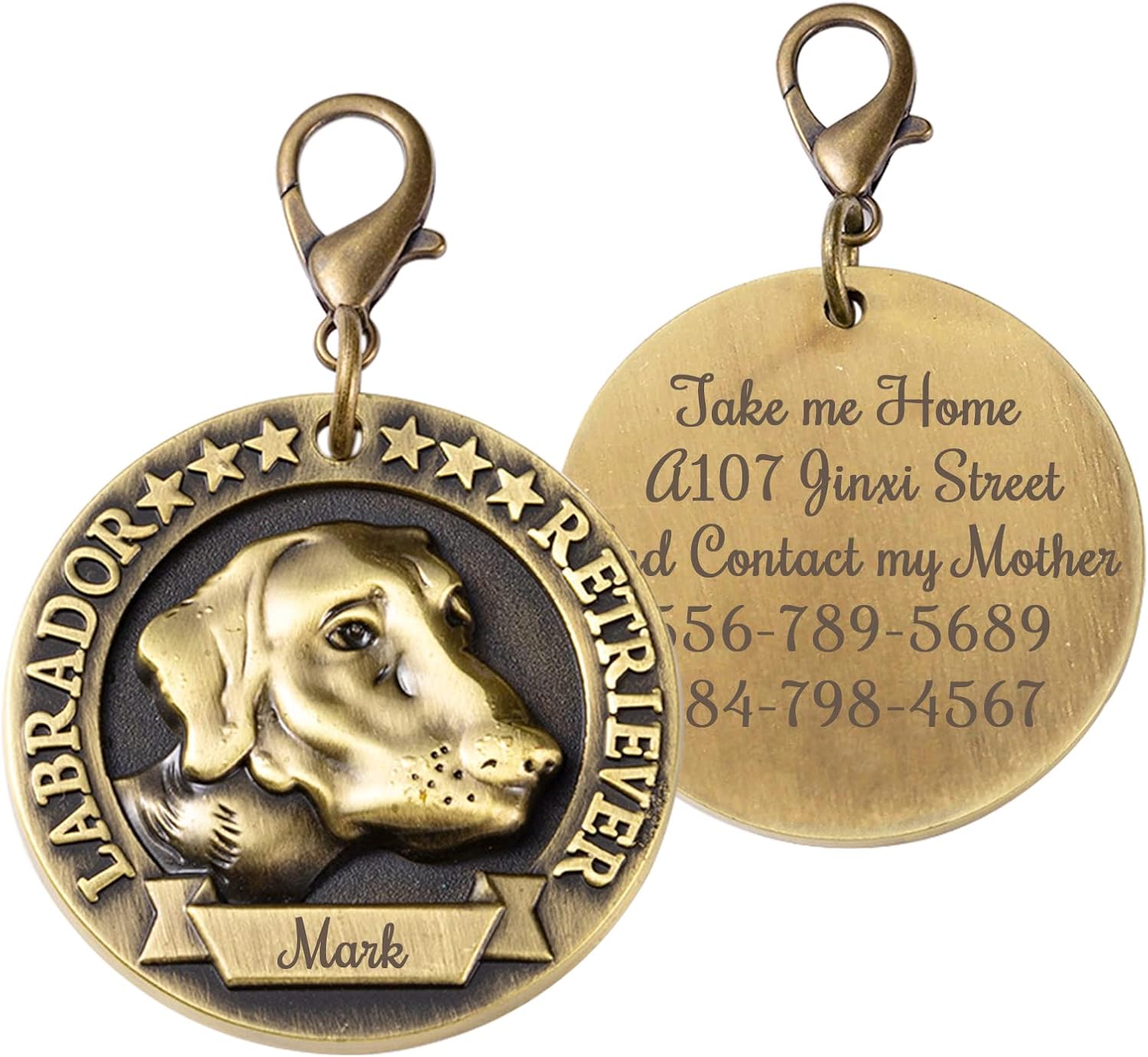 Targhetta Identificativa Personalizzata Per Animali Domestici Nome Identificativo Per Animali Domestici Inciso Per Ciondolo Collare Per Cani In Acciaio Inossidabile Accessori Per Animali Domest - Foto 9