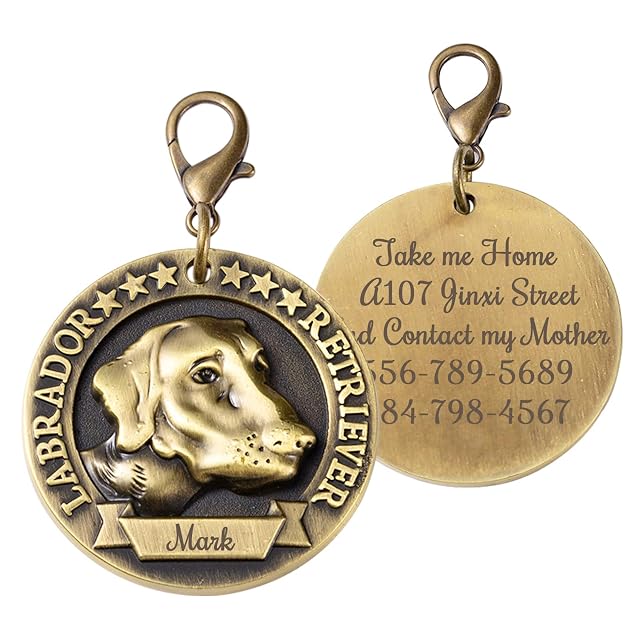 Uiopa Chapa Perro Grabada, Diseño 3D Único Placa Perro Grabada