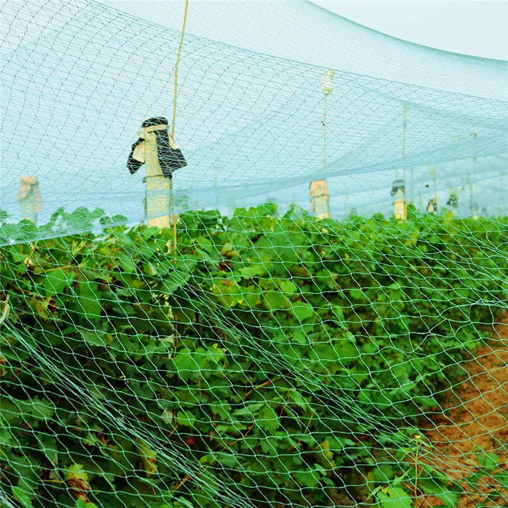 Rete per insetti a maglie strette， Bird Netting Mesh For Garden Trees Fruits Vegetables Ponds Green Multiple Sizes(2m*10m)