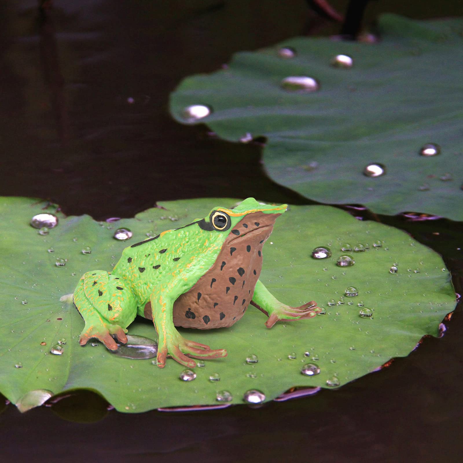 Amazon.co.jp: Fantarea 野生動物 カエルモデル ダーウィンフロッグ
