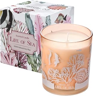 ROMIIE ZOI Scented Candle - Life of Sea- 6oz Aromatherapy Soy Wax Jar Candle for Home, Gifts for Women - 170g