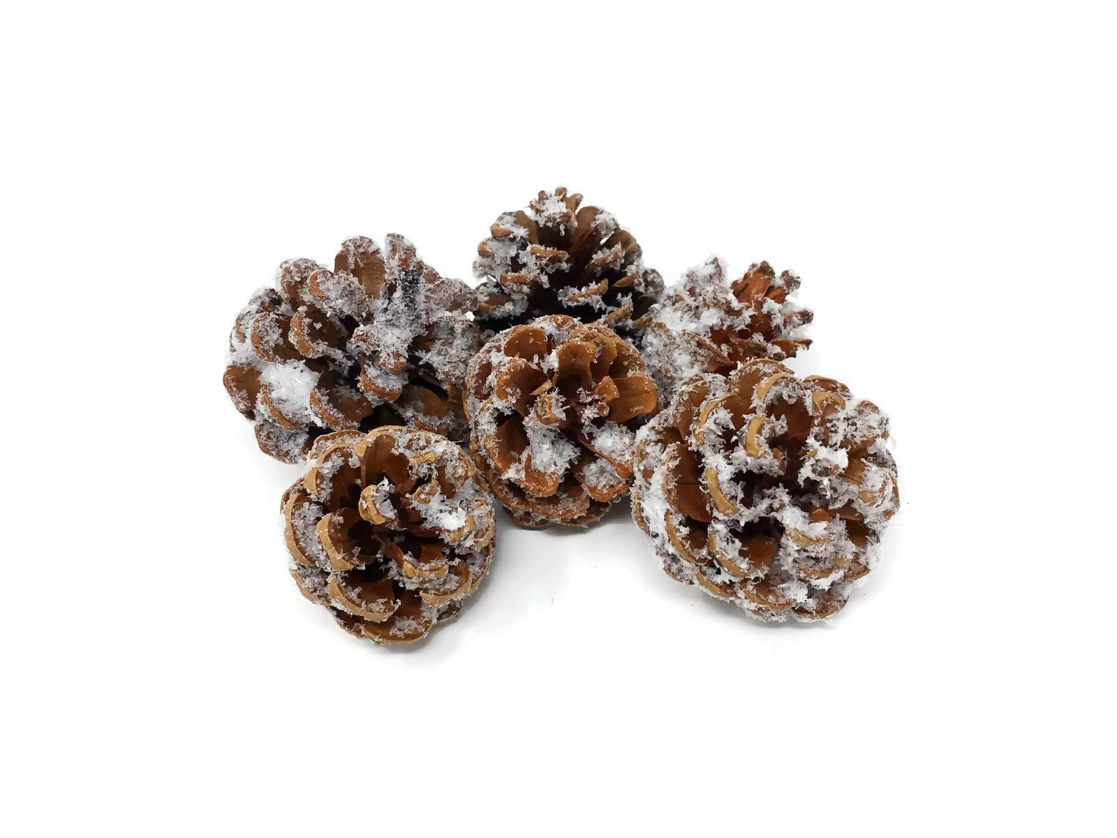 6 Pine Cones - Snowy or Natural - Christmas Wreath & Garland Decoration (Frosty)