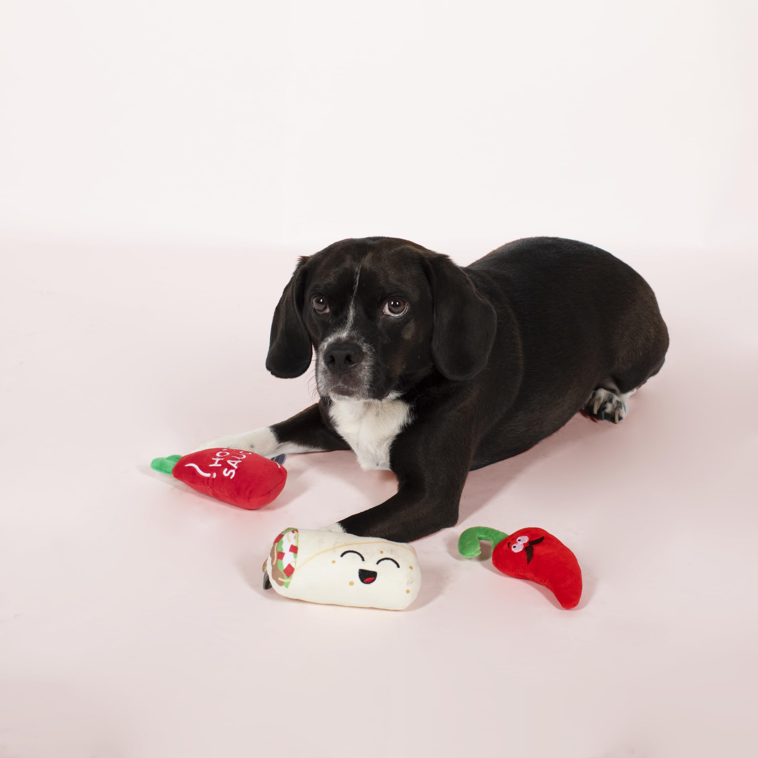 Fringe Studio Squeaker - Juego de 3 Juguetes para Mascotas, Picante y Picante (289435)