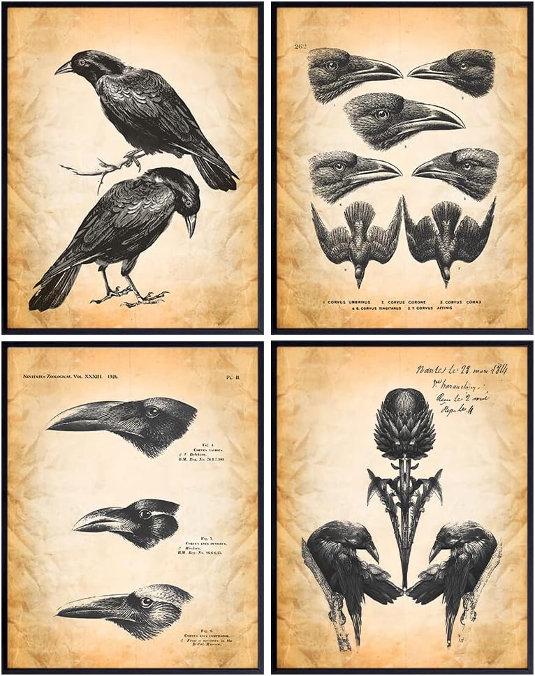 The Raven Gothic Wall Decor 11x14 - Edgar Allan Poe Wall Art - Vintage Rustic Crow Decor - Living Room, Office, Bedroom - Creepy Horror Halloween Decoration - Audubon Birds Prints - Goth Room Picture