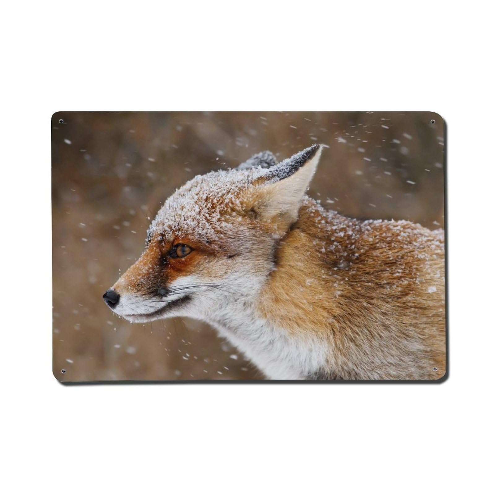 Wildlife Vintage Aesthetic Animal Habitat Winter Red Fox Metal Tin Sign Plaque Wall Decor for Cafe, Man Cave, Club Bar, Office, Home Garden Round Metal Poster 8x12Inch