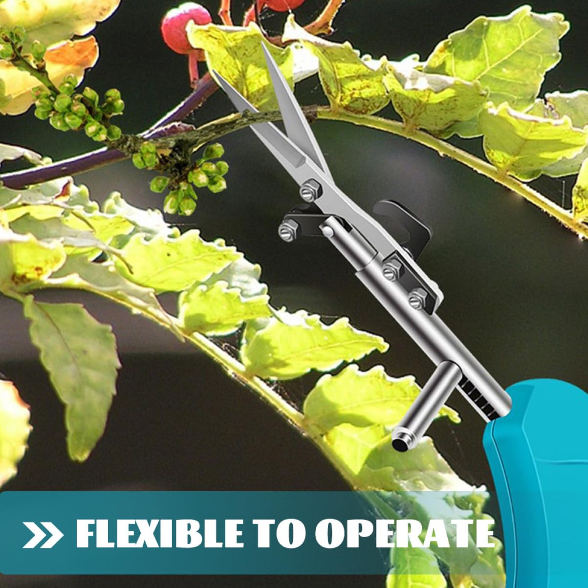 Kisangel 5 Stücke Gartenschere Obst Zweig Trimmer Gartenschere Für Pflanzen Beschneiden Garten Pruner Garten Werkzeug