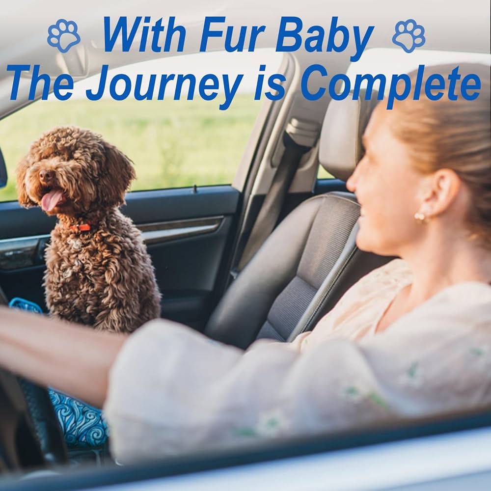 How to Prevent Dog Car Sickness: Easy Tips for Happy Rides