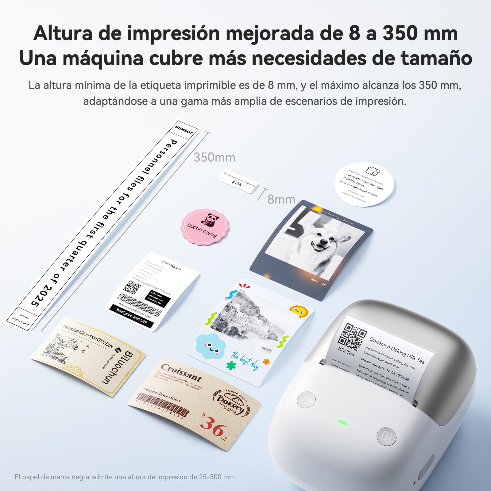 NIIMBOT Etichettatrice B2 Pro,Stampante per etichette HD 300DPI,Supporta la stampa offline,con etichette autoadesive impermeabili per le foto,Casa, Ufficio e Business Argento
