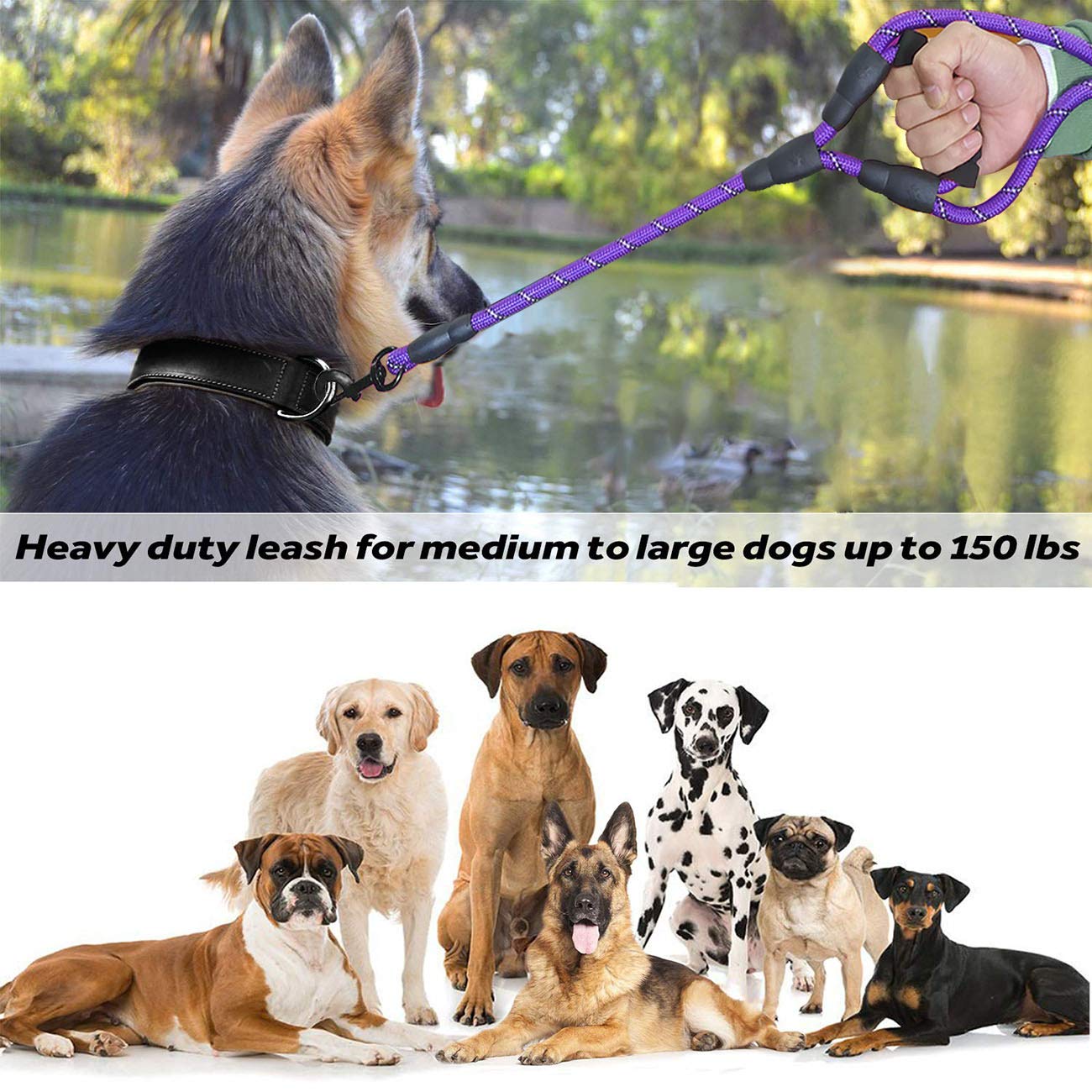 Correa para perros JSXD con asa doble cómoda acolchada y reflectante, para perros pequeños, medianos, grandes y pequeños, cuerda leash, cuerda morada.