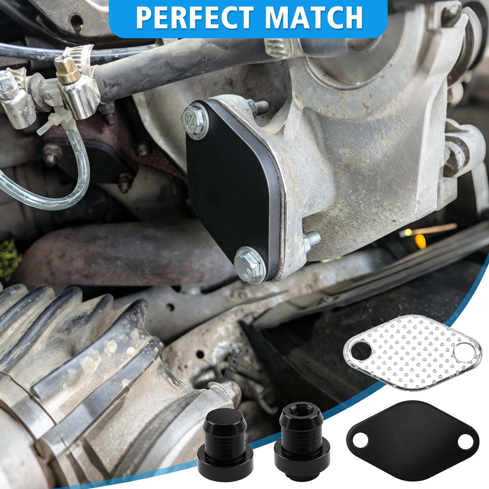 KAOLALI Kit di rimozione valvola EGR compatibile con 3 E46, 5 E60, E61, 7 E65, kit di rimozione valvola EGR per X3 E80, X5 E53 con motori 3.0 M57N, 1171778999, 1117804379