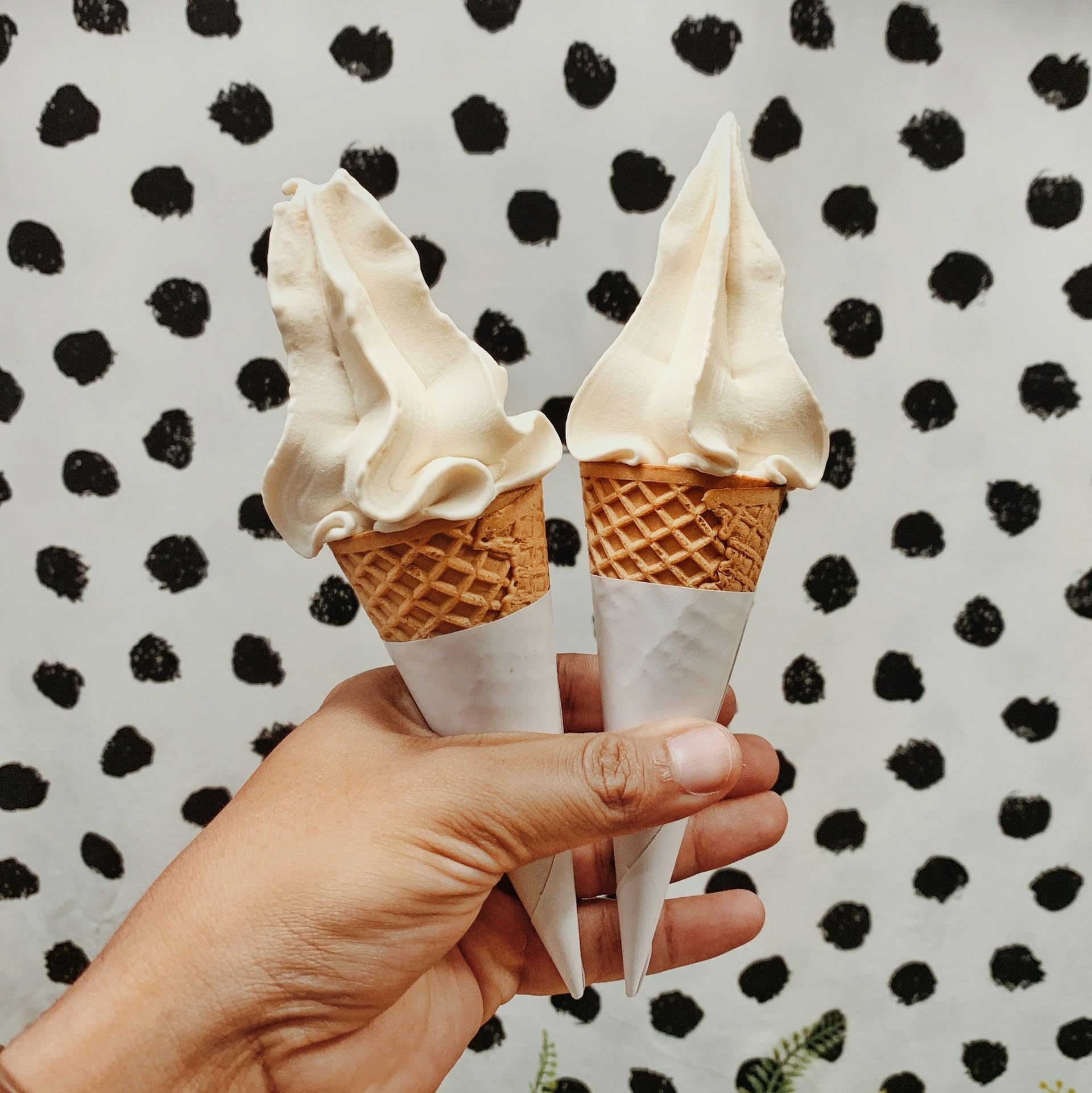 Kamelur Softeispulver Vanille Geschmack 1,5 kg (für 5kg Eis) | Cremiges Softeis Pulver für die Eismaschine – Für Softeismaschinen – Eispulver in Profi Qualität