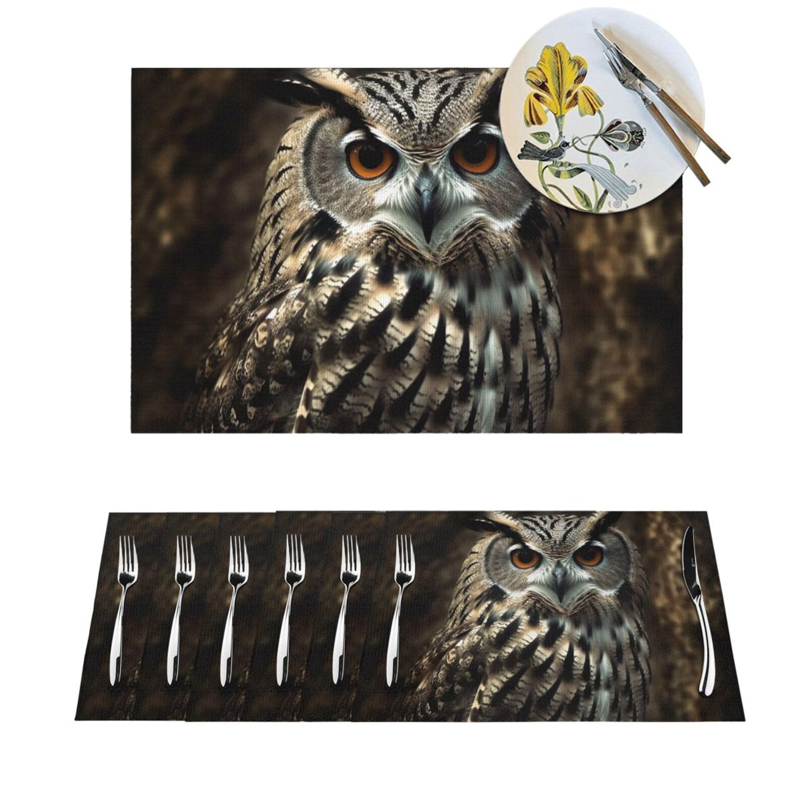 Set de table vinyle hibou lavable résistant chaleur cuisine salle à manger