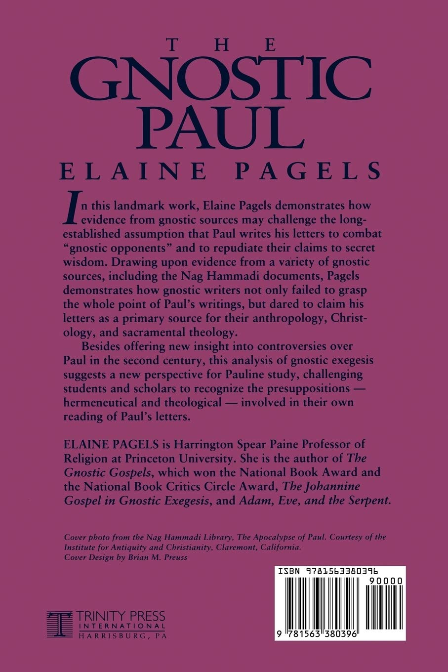 Gnostic Paul: Gnostic Exegesis of the Pauline Letters