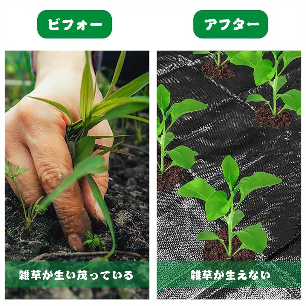 Amazon | 園芸マルチ マルチシート 穴あき 農業用フィルム 土壌保護