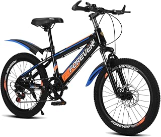 FUFU 20 Inch Children's Outdoor Bicycle, Suitable For Boys And Girls Aged 9-14, Adjustable, With Mudguard And Stand