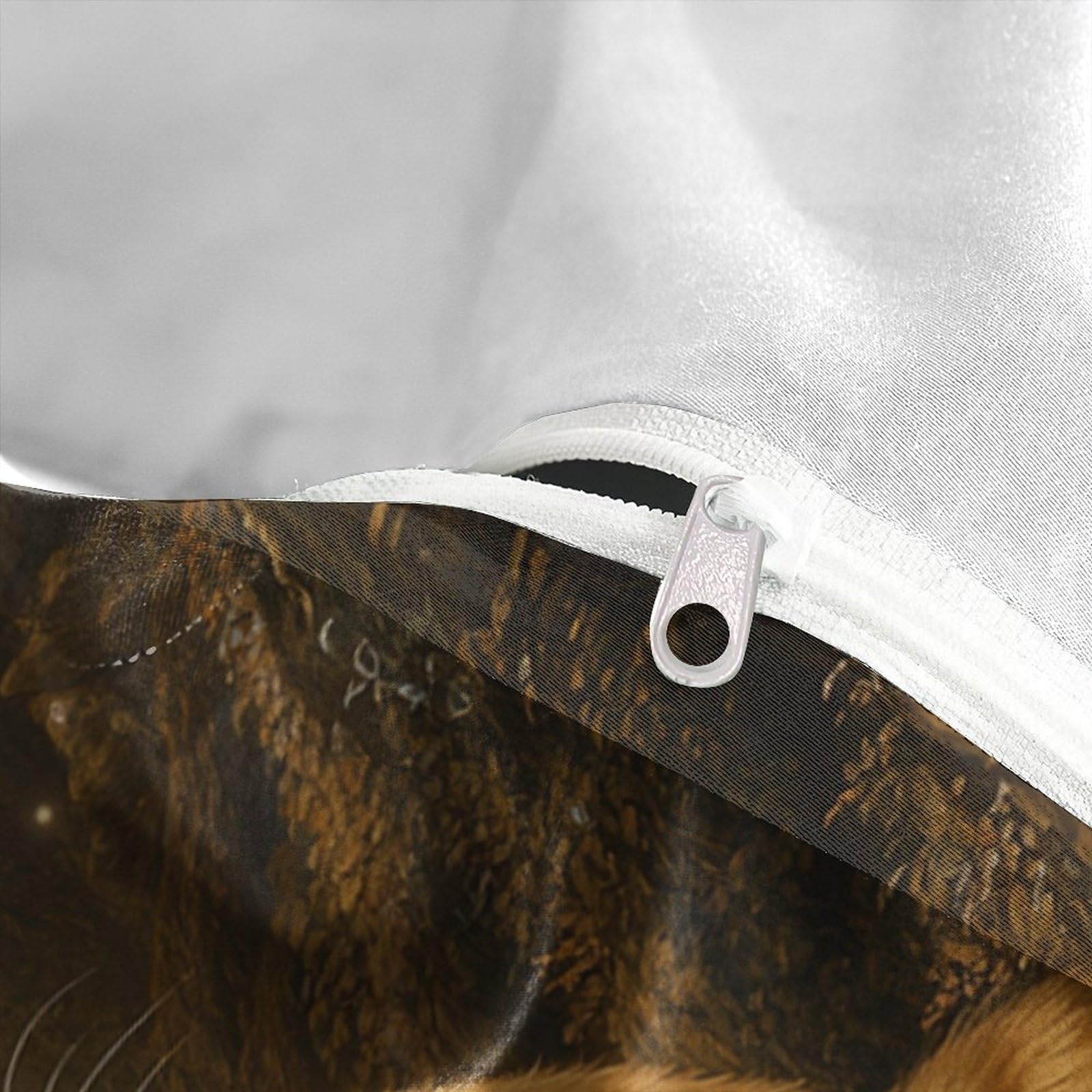 Fantasia del gatto dorato Impressione 3D 3 pz fodera per edredone arte di creature mitiche coperteletto microfibra ipoallergenica antiacari per ragazzi uomini adulti King（220x240cm）