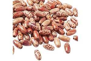 Pandahall 100pcs Rice Painted Beads Jewelry Making