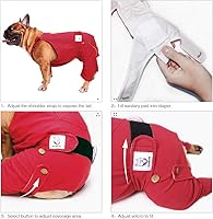 Vista 5 de iChoue Lindos pañales para perro con tirantes para bulldog francés, pug francés, bulldog inglés, hembra, en ciclo de calor, azul, pequeño con 1 pañal